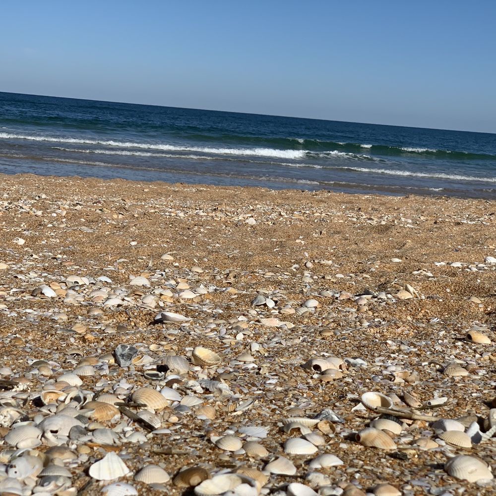 Varn Park - Beaches Near Me - Palm Coast, Florida