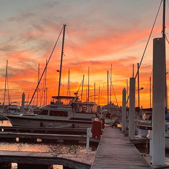 See Life Cruises - Boat Tours Near Me - League City, Texas See Life Cruises - Boat Tours Near Me - League City, Texas