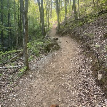 South Mountains State Park - Big bear falls trail - Parks Near Me - Connellys Springs, North Carolina South Mountains State Park - Big bear falls trail - Parks Near Me - Connellys Springs, North Carolina