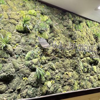 Kauai Shores Hotel - Moss art in lobby - Hotels Near Me - Kapaa, Hawaii Kauai Shores Hotel - Moss art in lobby - Hotels Near Me - Kapaa, Hawaii