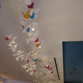 Oyamel - Sweet butterflies over the bar - Mexican Near Me - Washington, DC, District of Columbia Oyamel - Sweet butterflies over the bar - Mexican Near Me - Washington, DC, District of Columbia