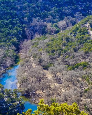 Lost Maples State Natural Area by null