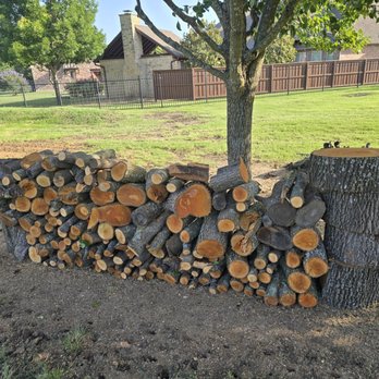 Rudy's Tree Service - They cut and stacked all the wood neatly and put it exactly where I requested. Highly recommend them! - Tree Services Near Me - Dallas, Texas Rudy's Tree Service - They cut and stacked all the wood neatly and put it exactly where I requested. Highly recommend them! - Tree Services Near Me - Dallas, Texas