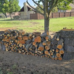 Rudy's Tree Service - They cut and stacked all the wood neatly and put it exactly where I requested. Highly recommend them!