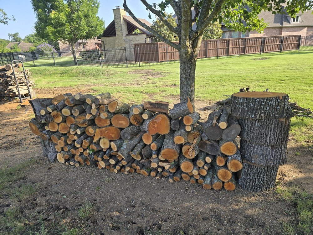 Rudy's Tree Service - tree service in Dallas, TX