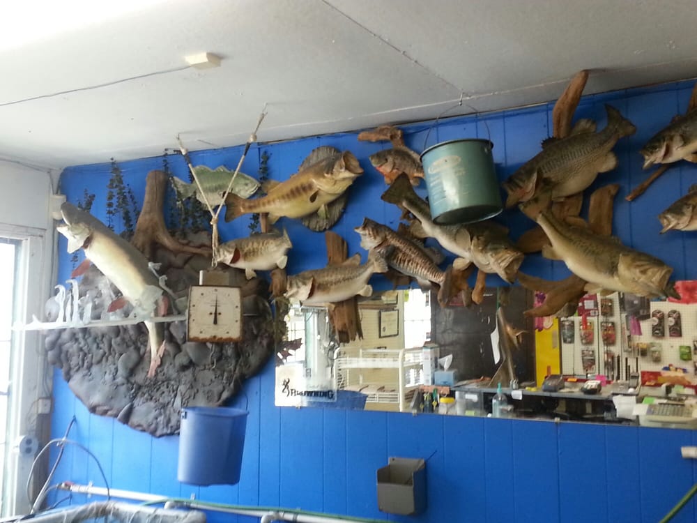 WINCHESTER BAIT & TACKLE 3 Bait St, Winchester, KY Yelp