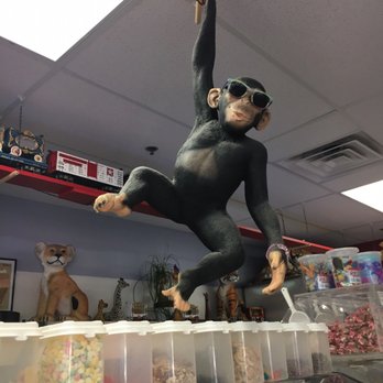 The Ice Cream Parlour - Monkey business - Ice Cream & Frozen Yogurt Near Me - Cherry Hill, New Jersey