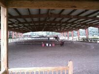 Highlife Farms - equestrian in Orlando, FL