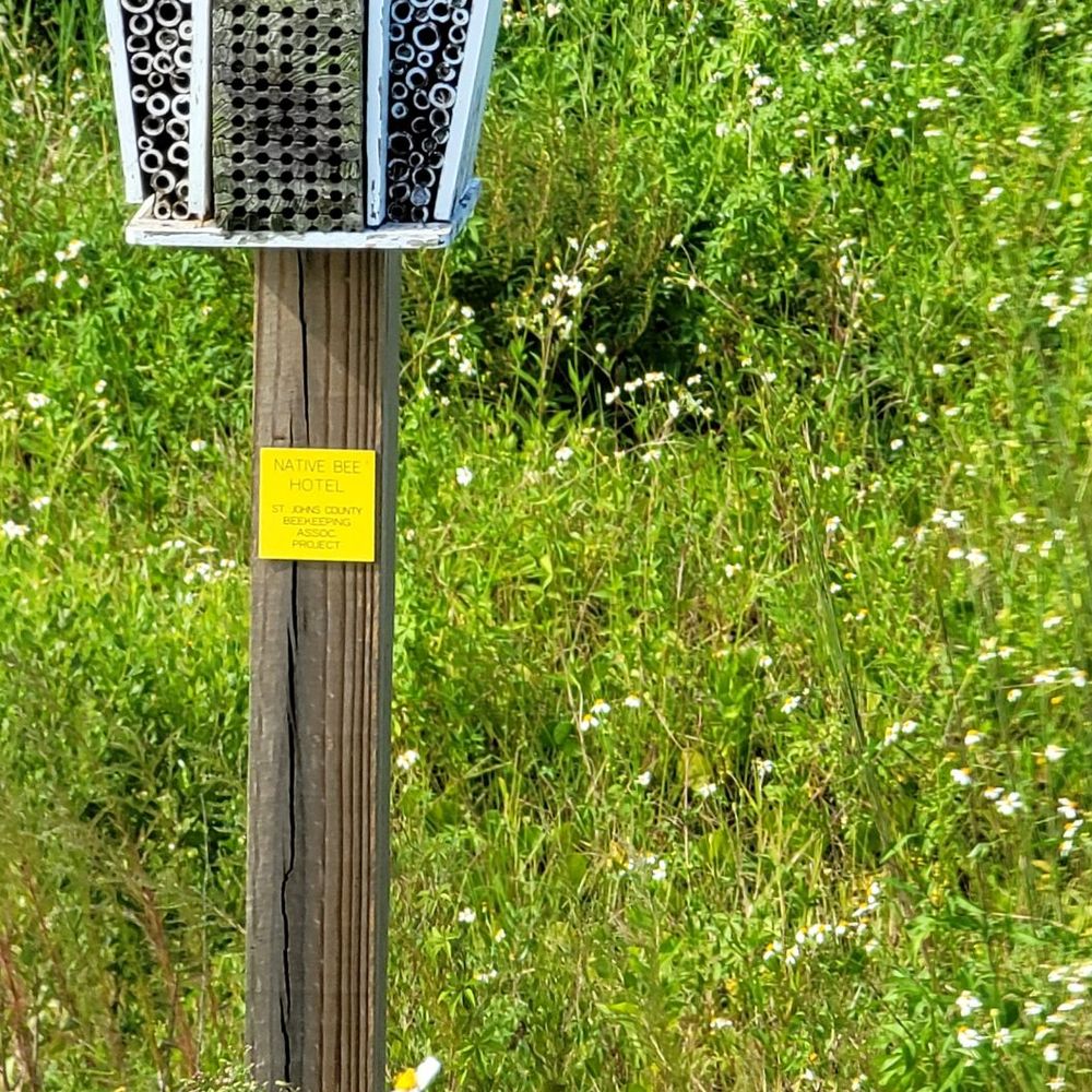 Dr Robert B. Hayling Freedom Park - Native Bee Hotel - St John's County Beekeeping Association Project - Parks Near Me - St. Augustine, Florida