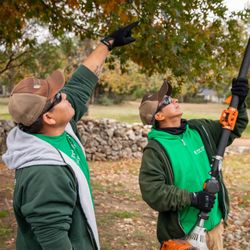 Top Choice Lawn Care photo