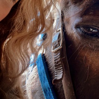Ponderosa Stables - Horseback Riding Near Me - Phoenix, Arizona