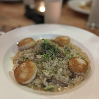 The Gryphon - Seared scallops with risotto - New American Near Me - Burlington, Vermont