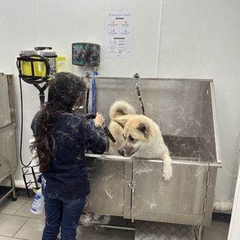 Scenthound Southlake - De-shedding treatments - Pet Groomers Near Me - Southlake, Texas Scenthound Southlake - De-shedding treatments - Pet Groomers Near Me - Southlake, Texas
