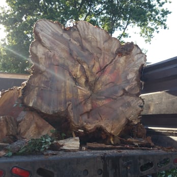 Joe Grab Tree Service - Tree Services Near Me Joe Grab Tree Service - Tree Services Near Me