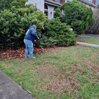 V&G Landscaping - Spring clean up and all services - Lawn Services Near Me