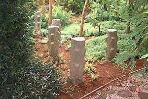 The Madoo Conservancy by null