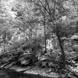 Cotton Hollow Preserve
