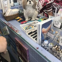 Sea Pleasures & Treasures of Sarasota
