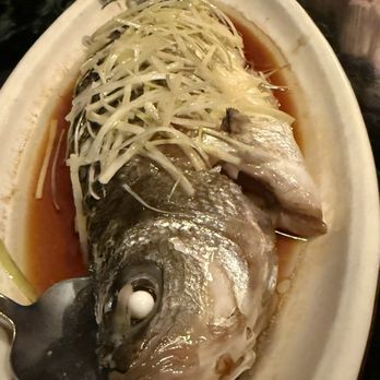 Blue Willow 夜来湘 - Steamed sea bass with ginger soy sauce - Szechuan Near Me - New York, New York Blue Willow 夜来湘 - Steamed sea bass with ginger soy sauce - Szechuan Near Me - New York, New York