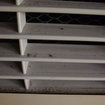 Quality Inn & Suites - MOLD growing on the air unit!!! - Hotels Near Me - Harrington, Delaware Quality Inn & Suites - MOLD growing on the air unit!!! - Hotels Near Me - Harrington, Delaware