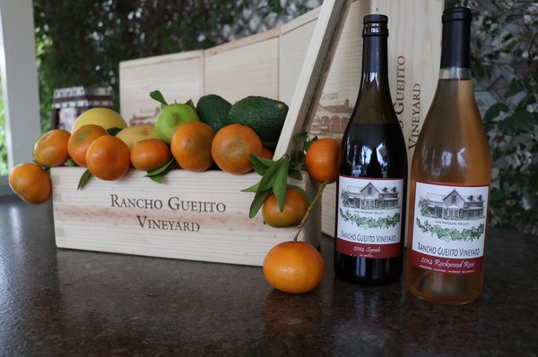 Rancho Guejito Vineyard by null