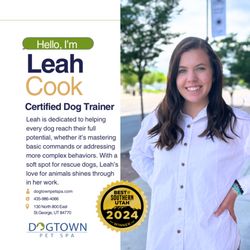 Dogtown Pet Spa