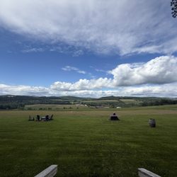 Gellella Terra Vineyard