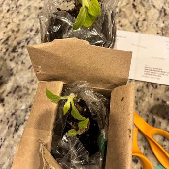Sow Exotic - Nurseries & Gardening Near Me - Winter Haven, Florida
