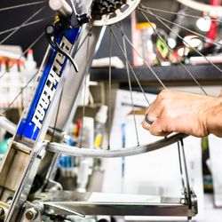 Spoke Life Cycles Perrysburg