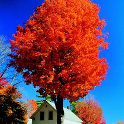 Northeast Unlimited Tours