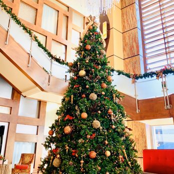 Hilton Branson Convention Center - Foyer tree - Hotels Near Me - Branson, Missouri Hilton Branson Convention Center - Foyer tree - Hotels Near Me - Branson, Missouri