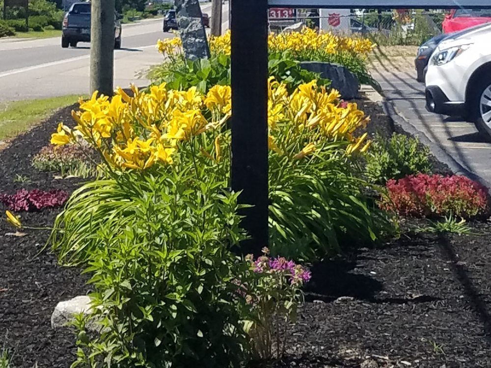 BLUE OX SERVICES LANDSCAPE CONSTRUCTION Updated October 2024 18