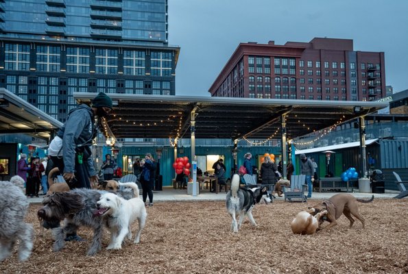 Bark Social by null