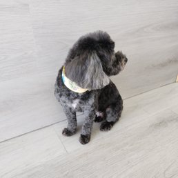 Minnie was very comfortable and happy Minnie was very comfortable and happy
