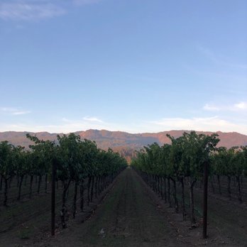 Harvest Inn - Vineyards and the mountains in the distance outside our room. - Hotels Near Me - St Helena, California