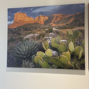 HonorHealth Rheumatology - Pima - Artwork - Rheumatologists Near Me - Scottsdale, Arizona HonorHealth Rheumatology - Pima - Artwork - Rheumatologists Near Me - Scottsdale, Arizona
