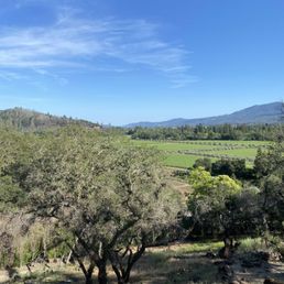 View from Treeline Suite