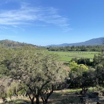 Meadowood Napa Valley - View from Treeline Suite - Hotels Near Me - St. Helena, California