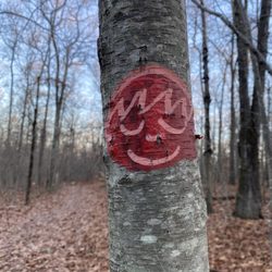 Peaked Mountain