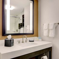 Hampton Inn Brooklyn/Downtown - Guest room bath