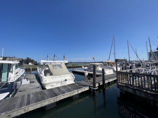 Pickering Wharf Marina by null