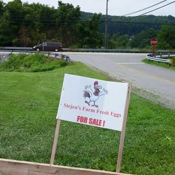 Stejans Eggs - a sign on the side of a road - Grocery Near Me - Phoenixville, Pennsylvania Stejans Eggs - a sign on the side of a road - Grocery Near Me - Phoenixville, Pennsylvania