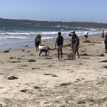 Coronado Dog Beach - Beaches Near Me - Coronado, California