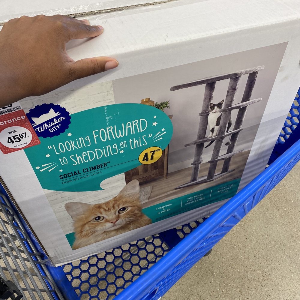 Cat tree on sale Cat tree on sale