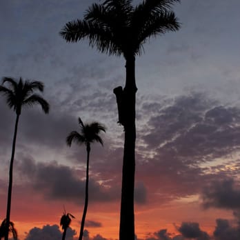 Hotel Las Brisas Acapulco - Our view, the sunset on our last day there. - Hotels Near Me - Acapulco, GRO Hotel Las Brisas Acapulco - Our view, the sunset on our last day there. - Hotels Near Me - Acapulco, GRO