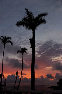 Hotel Las Brisas Acapulco by null