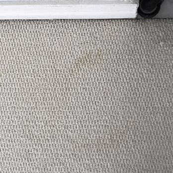 Personal Touch Carpet Cleaning - More stains not removed! - Carpet Cleaning Near Me - Chicago, Illinois Personal Touch Carpet Cleaning - More stains not removed! - Carpet Cleaning Near Me - Chicago, Illinois