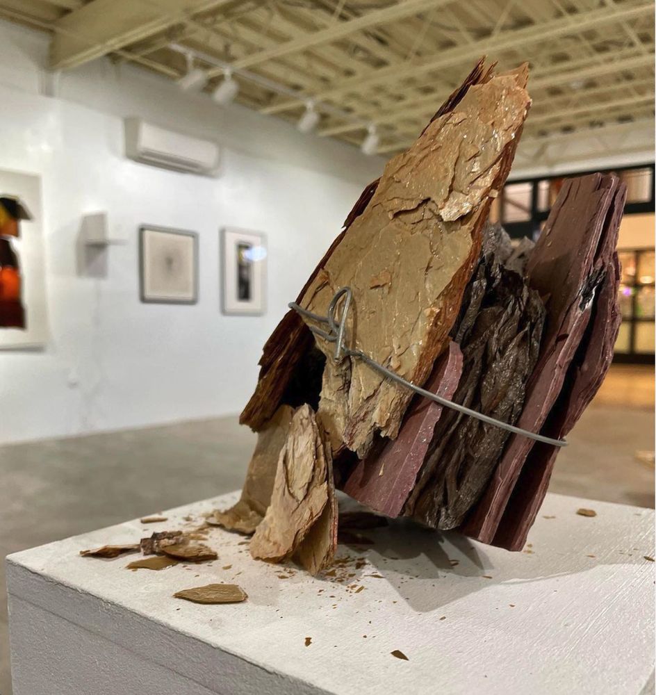 Strata Gallery - social services organization in Santa Fe, NM