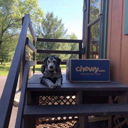 Rontu guarding his Chewy delivery until I finish yard work.