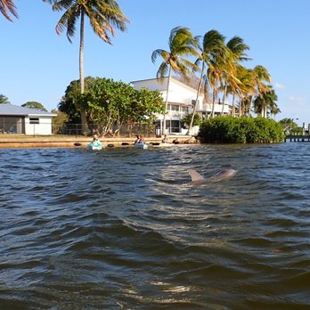 Gulf Coast Kayak - We saw dolphin - Rafting/Kayaking Near Me - Cape Coral, Florida
